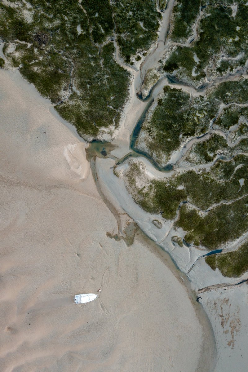 hellolaroux tweet media