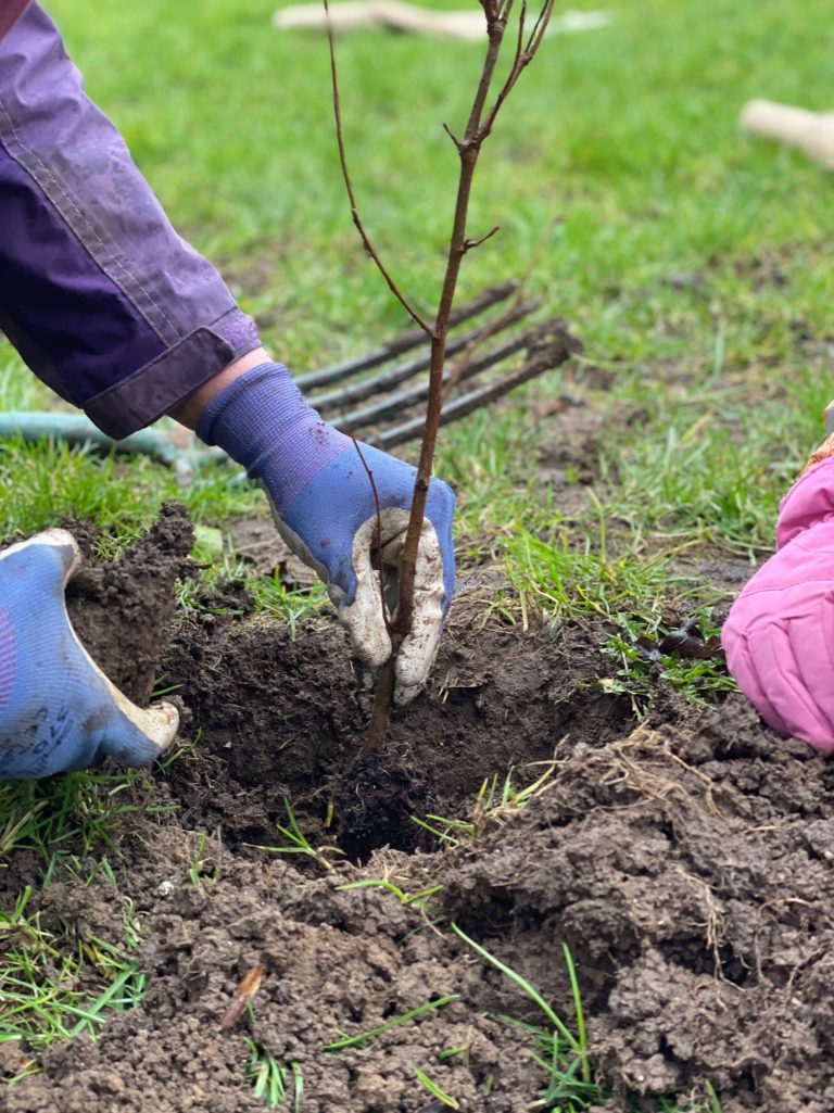 Do you want to help us plant a new forest near Bristol this winter? We are planning planting days from November to February. 
Please drop us an email if you'd like to join our volunteer mailing list and be part of a future forest!