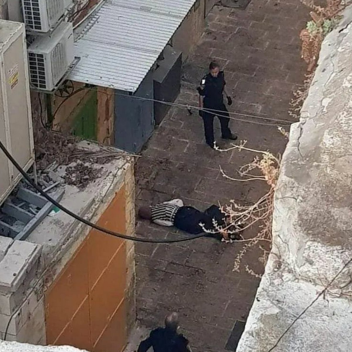 ishratsnap's tweet photo. They left her bleeding until she was martyred 💔😢
#Palestine #Palestinian https://t.co/lSMkM11ctR