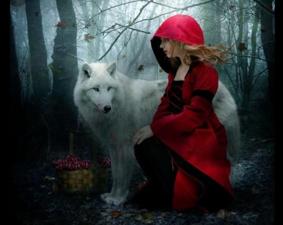 JelenaMKandic's tweet image. #DameBiraju kada sve prođe #PlesSaVukovima  #DanceWithTheWolves.🐾🌹🐾

Kevin Kostner maestralno glumeo #JohnDunbar u filmu uz čuvenog #2BeleČarape.🐺

youtu.be/9UglUjiJifA