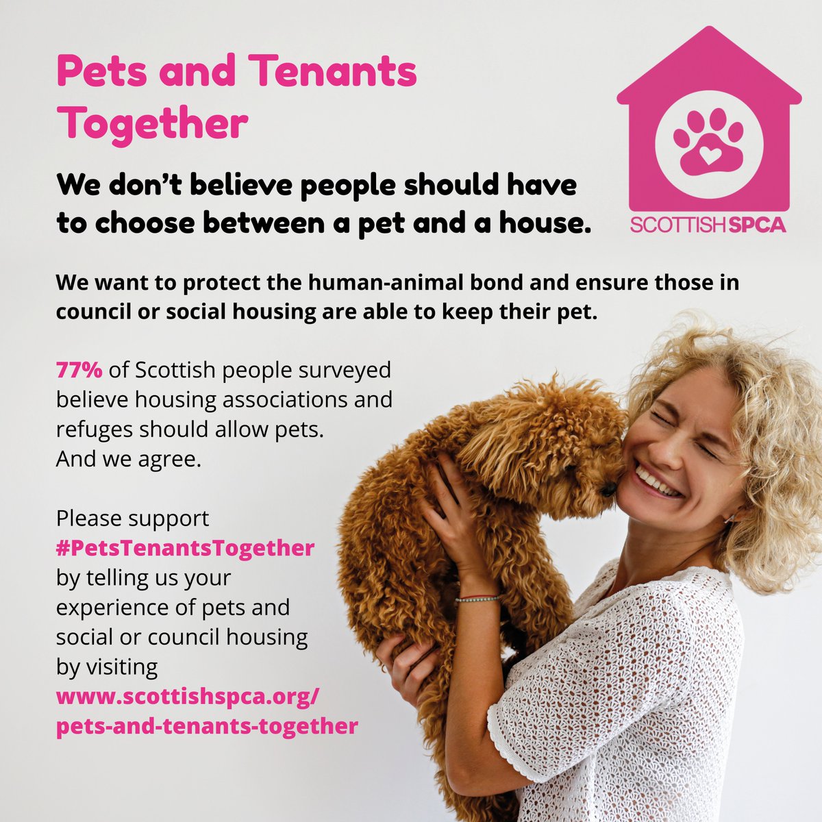 Gilly_SSPCA's tweet photo. Are you a pet owner and have been looking for accommodation in Scotland? @ScottishSPCA wants to work in partnership and keep #PetsTenantsTogether Share your story๐พ #SpreadTheWord @homelessnetscot @HFScotland @CrisisScotland @SimonCommScot @Cyrenians1968 @SocialBite_ @CIHhousing https://t.co/PGNzvmh2Ym