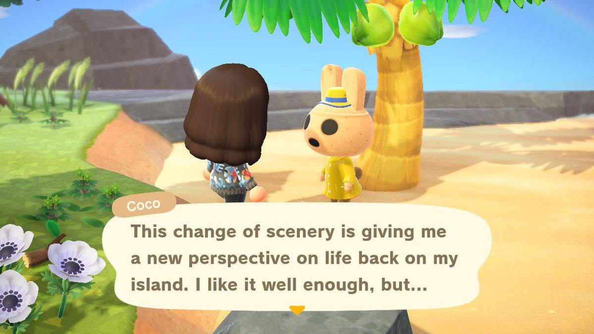 NinDasom's tweet photo. My baby! #AnimalCrossing #ACNH #NintendoSwitch #coco https://t.co/KDKGzRbaBp