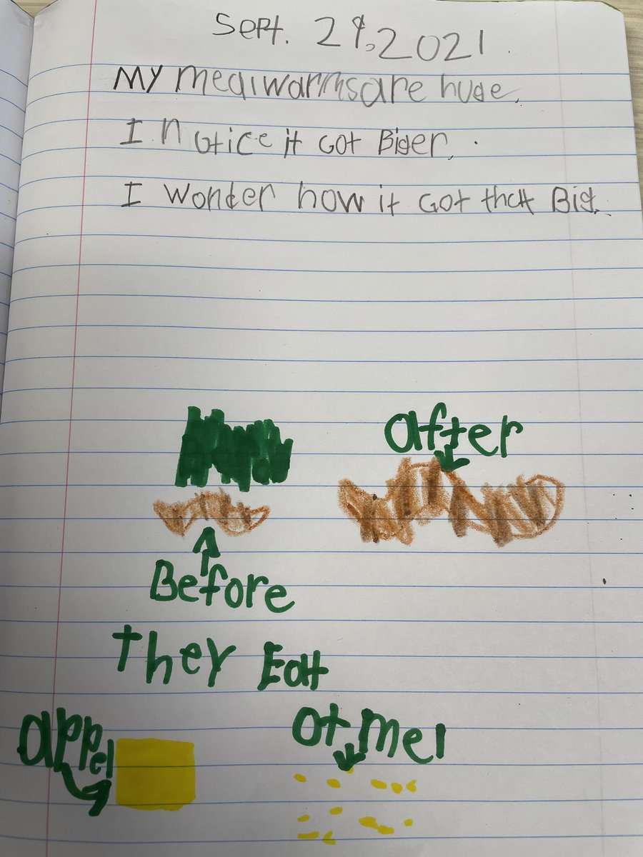 FetskoKara's tweet photo. Yesterday in out 2nd gr class @harrowgate_es  we examined our mealworms and made observations.  We noticed some changes and wondered how the got so big and when they would turn into pupae! #insectlifecycle #oneCCPS https://t.co/neILHWGnr7