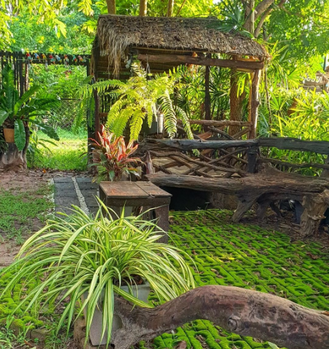 MarcTchouanche's tweet photo. Happy weekend my friends🌳🍀🌿🍃🪴☘🌱
.
.
.
.
.
.
.
.
.
#gardening #gardeninspiration #gardendesign #weekendvibes #weekend #gardenhouse https://t.co/iwekuG7CpT