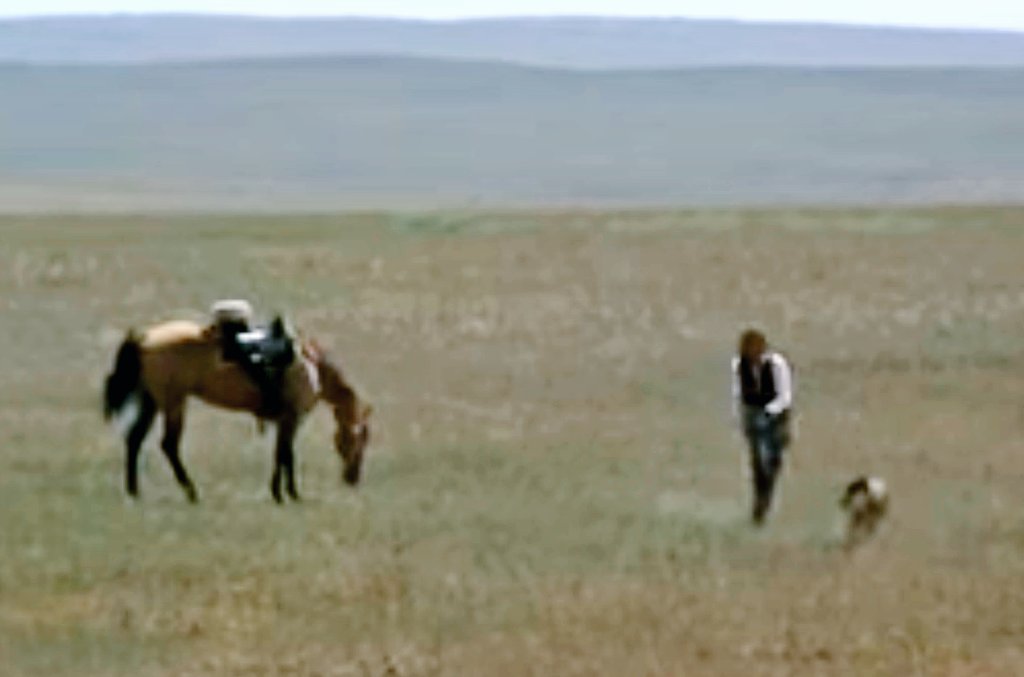 JelenaMKandic's tweet image. Scena sa #DveČarape #2socks i #KevinCostner kao #JohnDunbar u čuvenom filmu #PlesSaVukovima #DanceWithTheWolves.🐾🐺🐾

Svaki narod ima svoju bajku ili legendu o posebnim ljudima koji komuniciraju na poseban način sa zverinjem i prirodom slično Rastku.🌹

youtu.be/ahW9jOS0-pY