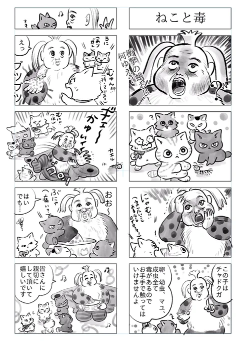 トラと陽子(ねこーずと蛾おじ)

蛾の毒にはご注意‼️ 