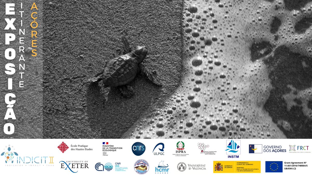 Fundo Regional da Ciência e Tecnologia (FRCT) tweet media