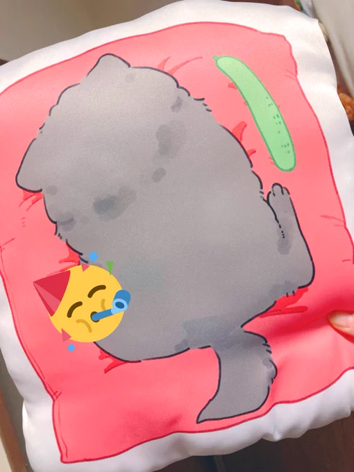 ぱぷクッション🐶物理的に吸えます。スーーーーーッッ 