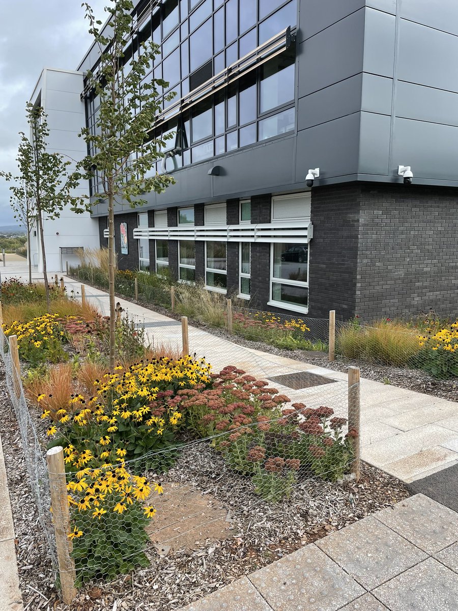 CountyGrounds's tweet image. Looking good at one our maintenance contracts at the Environment Agency site on Exeter Science Park