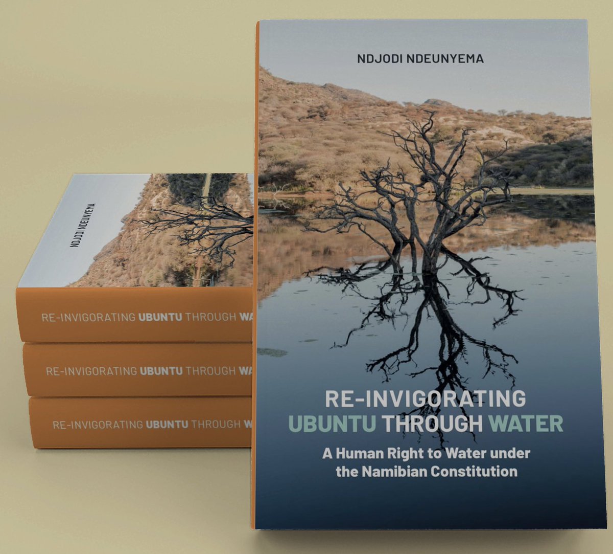 Ndjodi_ML's tweet photo. In my November book, I conclude chapter 1 stating “Water is not merely a welfare policy ‘good’ within the exclusive remit of often unfulfilled political promises & benevolence. All Namibians must enjoy a life that fully realises their shared sense of ubuntu.”
#UbuntuThroughWater https://t.co/6ucOUSFwre
