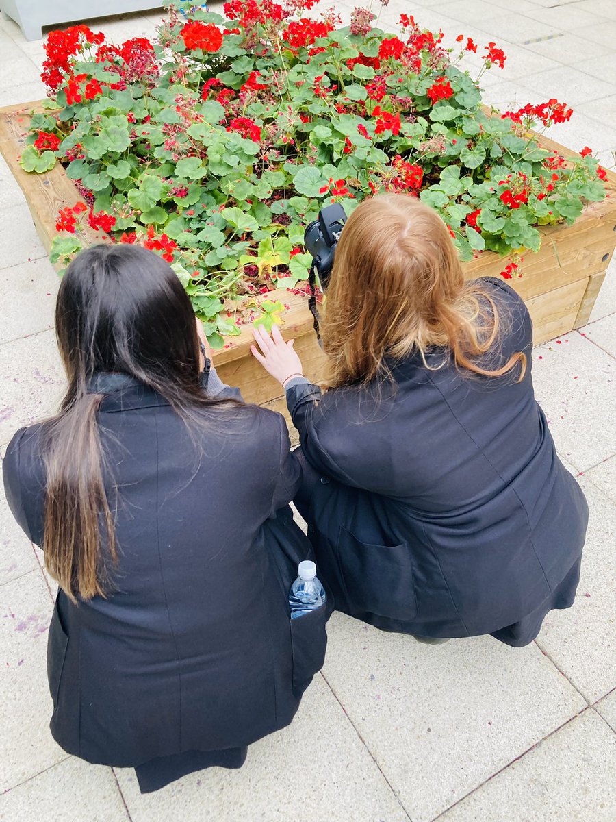 MrsWilkinson16's tweet photo. What an absolute pleasure these students are to teach. Finally out with the cameras! Cannot tell you how excited we all are! @NewmanRCCollege @potts_gm #GCSEphotography #formalelements #scavengerhunt https://t.co/8JRh3yjygM