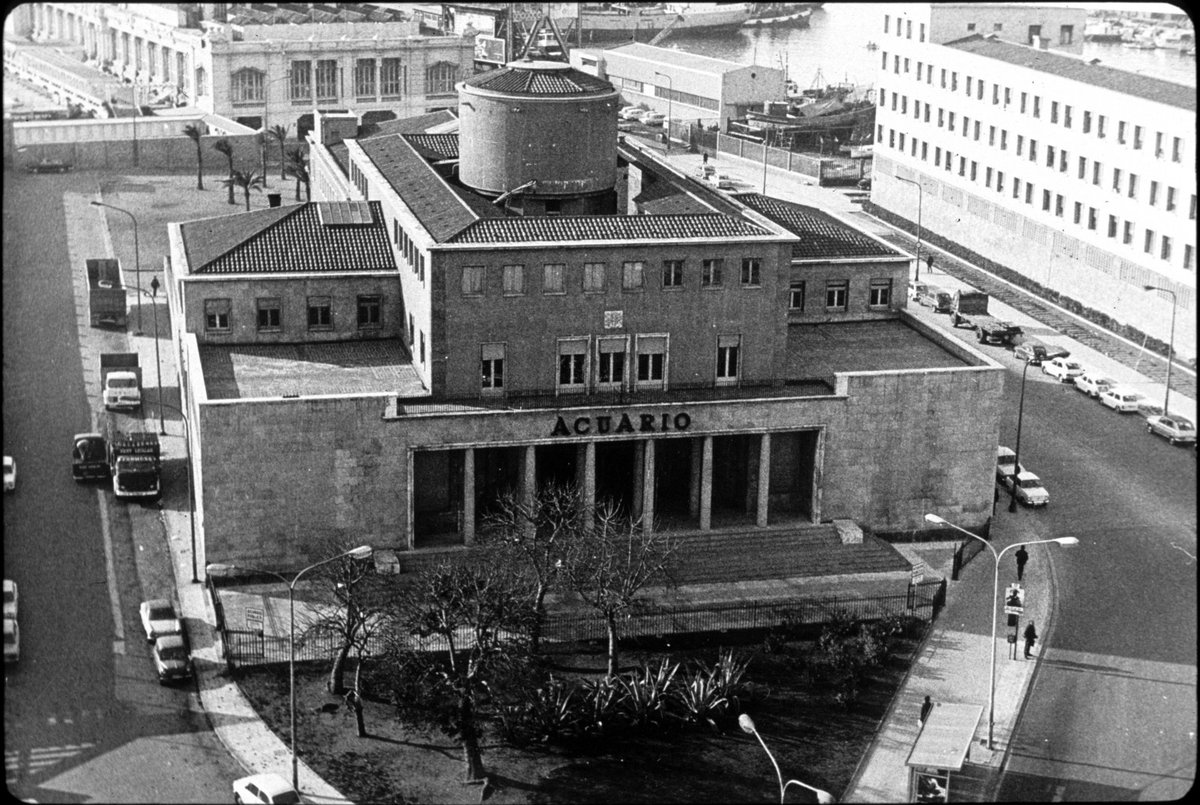 CSICCat's tweet photo. Entre estas imágenes hay 70 años. Los que cumple el Instituto de Investigaciones Pesqueras @CSIC, actualmente @ICMCSIC . Del IIP también nacieron @ceabcsic @ICMAN_CSIC  @IIM_CSIC @utm_csic #IATS_CSIC 🎂#70aniversarioIIP #cienciasmarinas

Acto celebración 
https://t.co/5lyduHJVg1 https://t.co/YdBs2evKOd