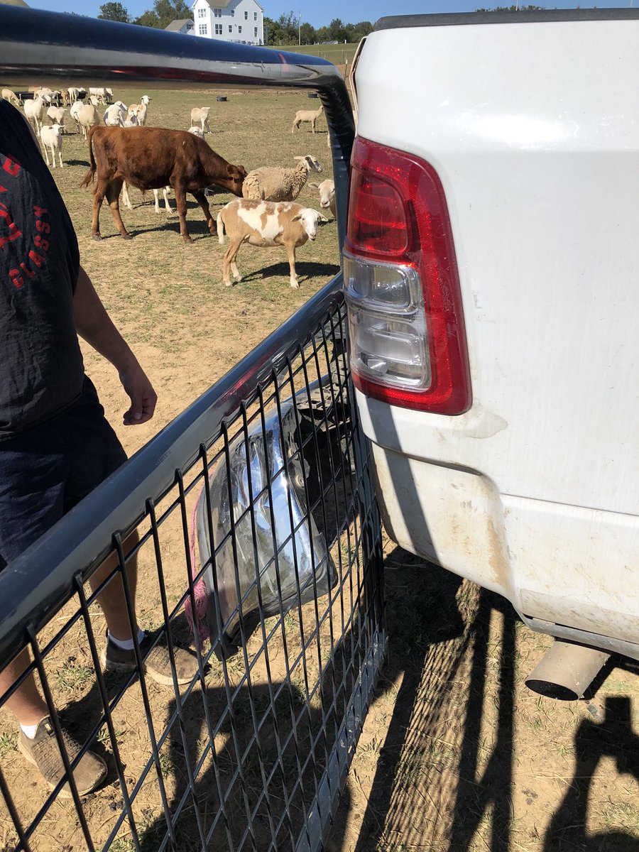 Ælectric Cybersolarfarmer tweet media