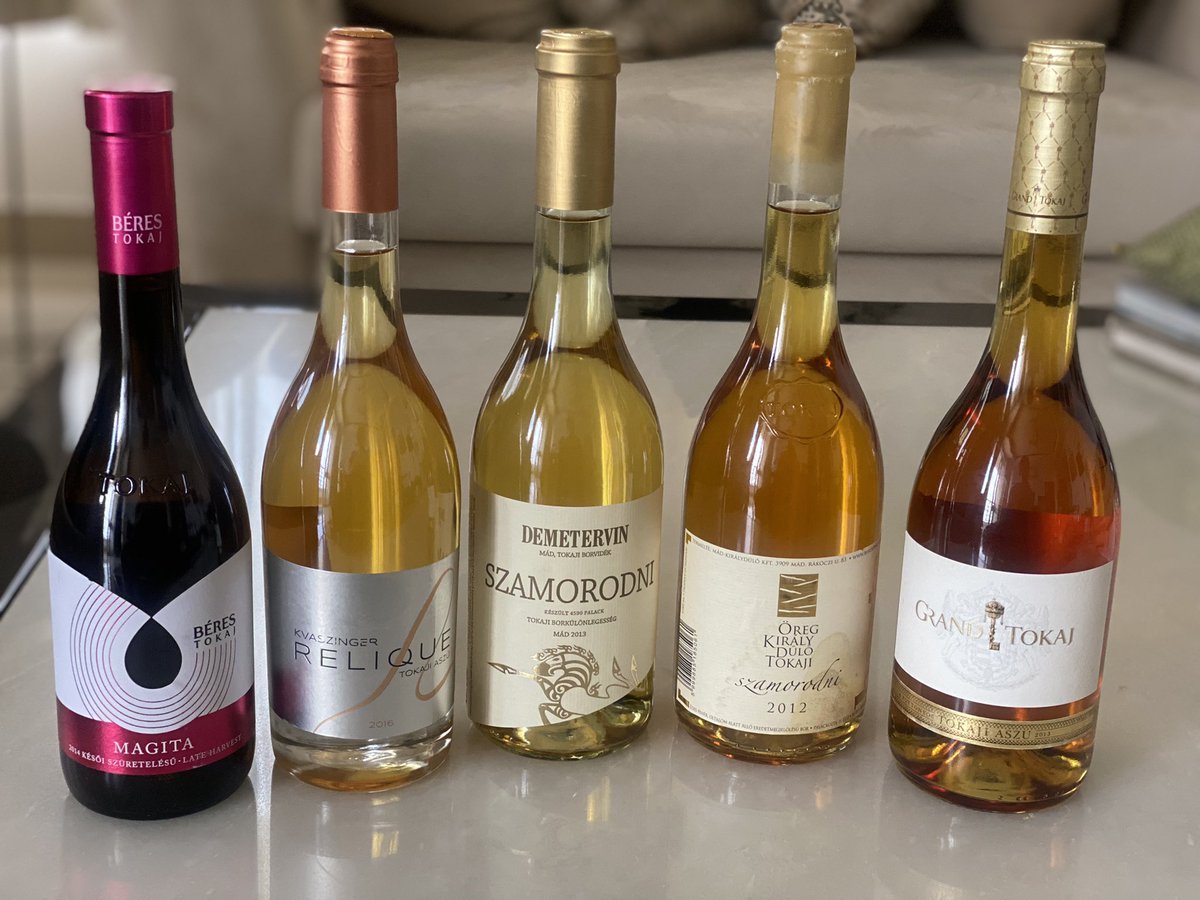 Lavina Kharkwal tweet media