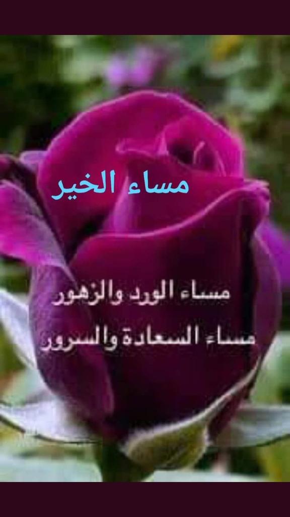 alanoud888d's tweet photo. @Mh200922 @55klr @hno55r_aa7 @haaya1312 @bnt_sdeer @l_altoaimi @5JRose @shaykh281 @algnnh99 @tt_nn7 @www__5 @KsaKiwi @Aummbander @omo_aziz سلاماً للأصدقاء من الروح 
سلاماً لمن صان الودّ،
وحفظَ الوصل..
 فردوا علينا بالقلب وهمسوا لنا بالحب
سلاماً وألف سلام لأرواح التي
لا تحلو الحياة إلا بهم
لهم في قلوبنا مڪان وڪل المحبة والاحترام
الف سلام وتحيه✋💚
#المجموعة_الدعوية
#رحاب_الدعوه #حفيدات_الفاروق #يازين_ذكر_الله https://t.co/KYMotPIbe4