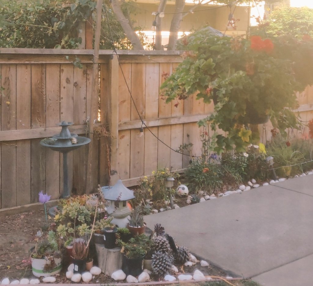 akshayrthakor's tweet image. I am working remotely from San Mateo, CA at @turingcom and it&apos;s been a great experience so far!!! Love the fact that our teams are enjoying the future if work #boundaryless