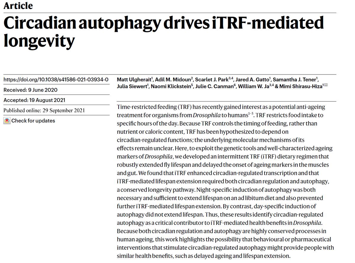 SatchinPanda's tweet photo. Time Restricted Feeding extends lifespan and healthspan in Drosophila independent of calorie restriction and insulin signaling. Even TRF for half of the adult life of flies is enough for this benefit. @Nature 

https://t.co/Sd6pe4D6d8 https://t.co/ihmQVVug0i