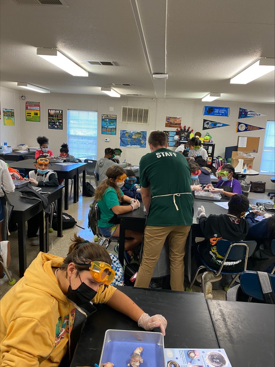Meghan Helms (@mshelms_med) on Twitter photo 6th grade eye dissection lab with Mr. Dinkins! <a href="/SEMSPrincipal/">Stephanie Gentry</a> <a href="/muddmail222/">Iris Mudd</a> 6th grade eye dissection lab with Mr. Dinkins! <a href="/SEMSPrincipal/">Stephanie Gentry</a> <a href="/muddmail222/">Iris Mudd</a>
