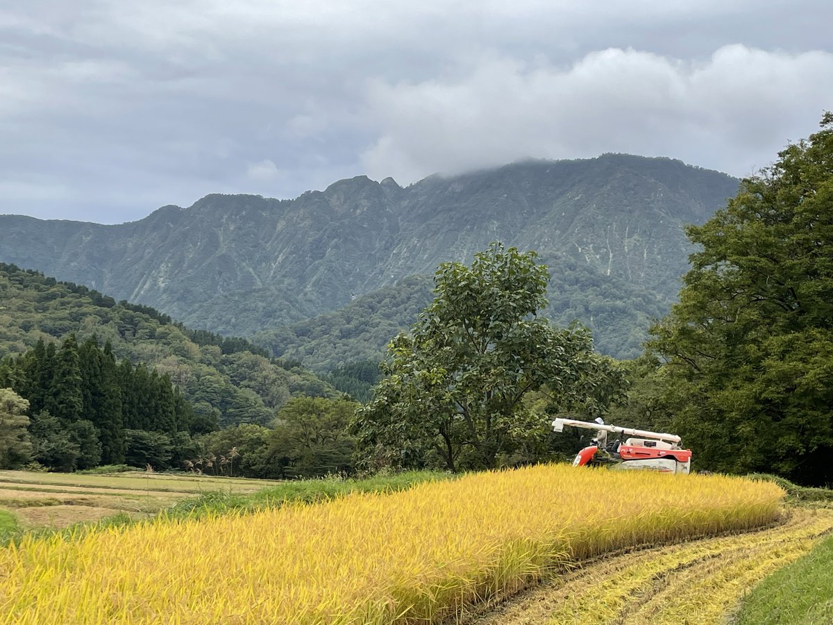 kakoumaya's tweet photo. 鶴岡市旧朝日村は庄内地方の最南端に位置し東側に月山、南側に朝日連峰の以東岳がありブナを中心とした落葉広葉樹林帯が広がる山地率94%の純山村です。
その恵まれた山林環境から得られる豊富な山菜資源と自家栽培したお米を使用して加工品の製造と販売をしております。
#山形県鶴岡市 
#加工蔵まや https://t.co/S7SPZpso8K