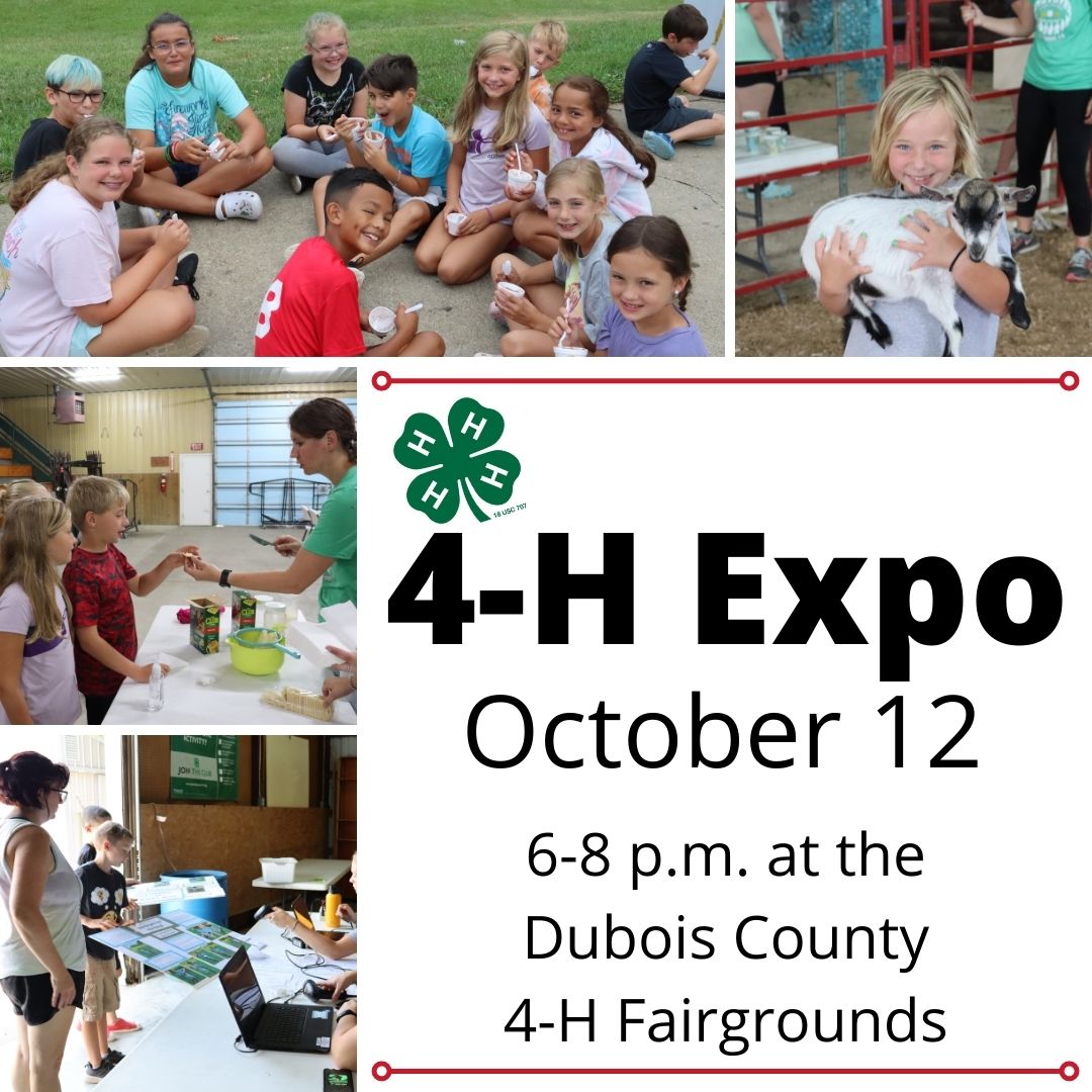 On Oct. 12th 6-8 p.m. Dubois County 4-H will be having an Expo night! Families w/ youth in grades K-12 are welcome! There will be food, fun activities, &amp; lots of information about 4-H. We can also help you enroll for 4-H! So bring your family and friends for a fun night!