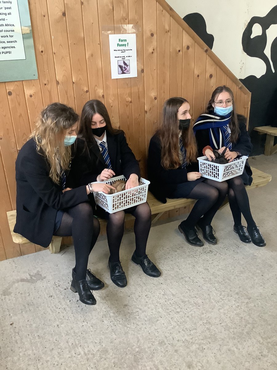 Many thanks to Streamvale Farm for hosting our Year 12 Leisure, Travel and Tourism class. It was an informative and exciting visit which included a tour of the Visitor Attraction and a presentation from the Marketing Manager, Stuart Muirhead. <a href="/GlenlolaSchool/">Glenlola Collegiate</a>