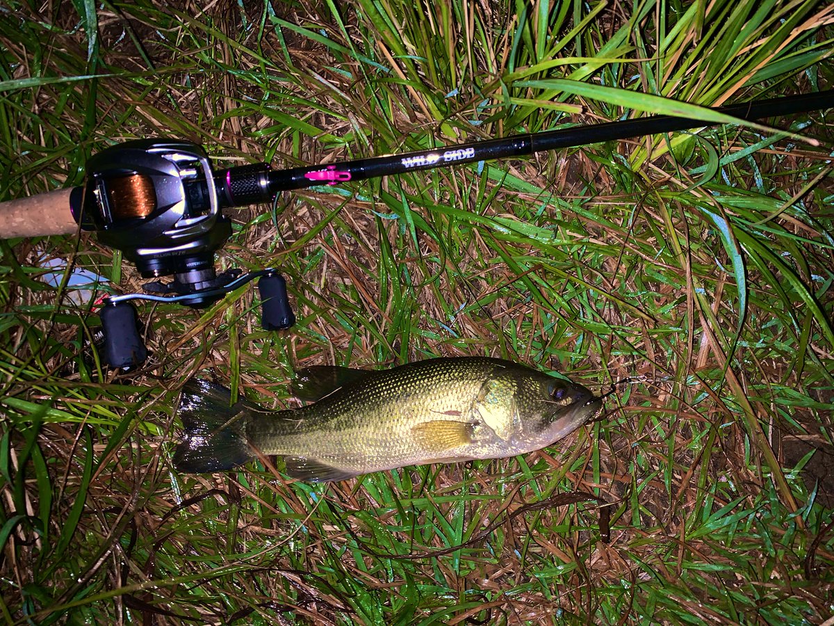 wao_fish_wao's tweet photo. そういえば先日の夕方、我慢できずジリオン試し投げに近くの川へ\( 'ω')/
ふむふむ。
なるほどなるほど。
よく分からんけど凄く良い気がする!
とりあえず左ハンドルも購入してみる事が決定しました\( 'ω')/
#ジリオン
#svboost
#レジットデザイン
#ワイルドサイド https://t.co/jjlGRaP1rr