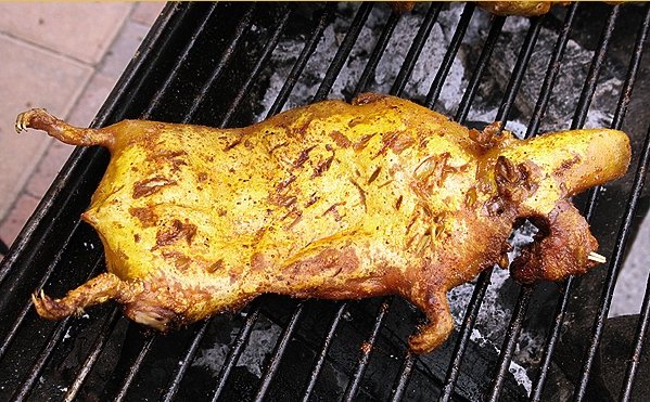 жареный белок. жареный еж. жареный белок. жареный белок. жареный белок.