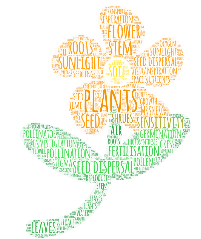 Rowlatts_TMET's tweet photo. This is a wordle that Year 3 have completed which includes all the key vocabulary they've looked at in this unit about plants. #RMScience https://t.co/MZMnIExoey