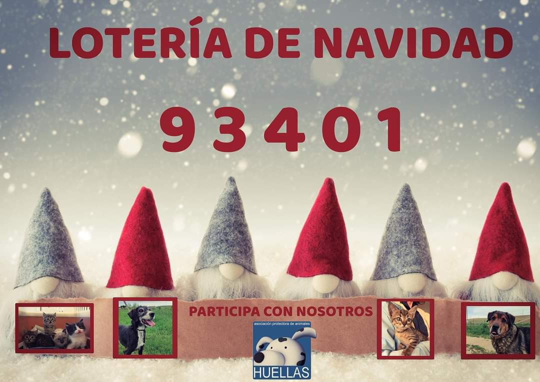 Desconfianza Esplendor Independiente Huellas Protectora on Twitter: "Lo puedes comprar en: • Clinicas Veterinarias Albéitar • Clinica Veterinaria San Antonio • Clinica Veterinaria Asís • Clinica Veterinaria San Roque • Centro Veterinario Las Navas, Las Navas del Marqués." / Twitter Desconfianza Esplendor Independiente Huellas Protectora on Twitter: "Lo puedes comprar en: • Clinicas Veterinarias Albéitar • Clinica Veterinaria San Antonio • Clinica Veterinaria Asís • Clinica Veterinaria San Roque • Centro Veterinario Las Navas, Las Navas del Marqués." / Twitter