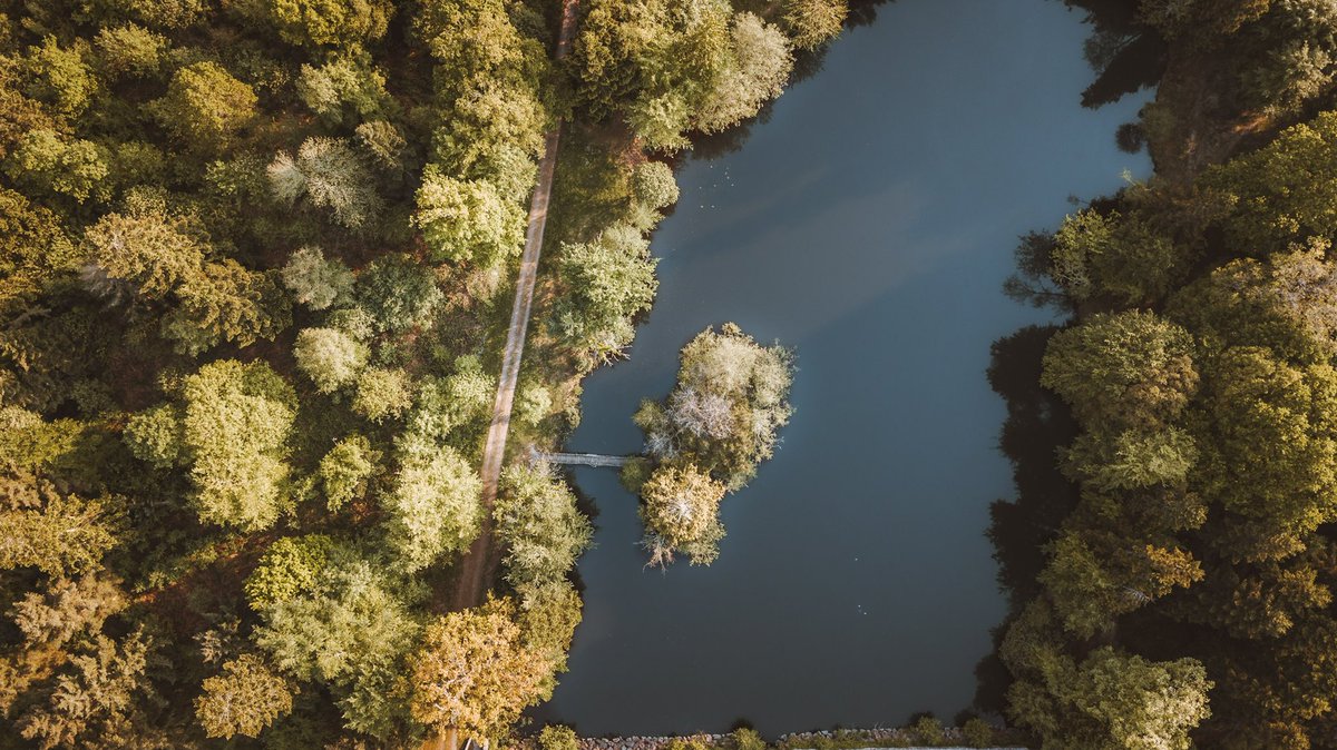 BOBEE Spot tweet media