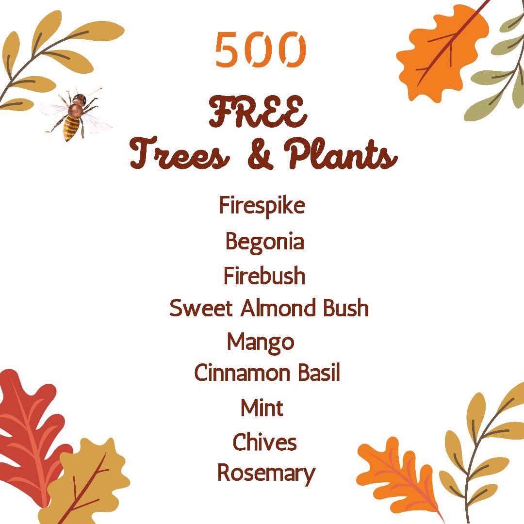 MiamiDadeParks's tweet photo. SATURDAY is our Autumn Harvest 🍂🍁 #GardenGiveaway at MLK Memorial Park.🪴 We’ll be distributing free herb, vegetable & pollinator plants as well as fruit trees thank to @TDBank_US 💚 Early arrival is strongly suggested as supplies are limited and will go fast.✨ #TREE05 https://t.co/SjK4kH7bKD