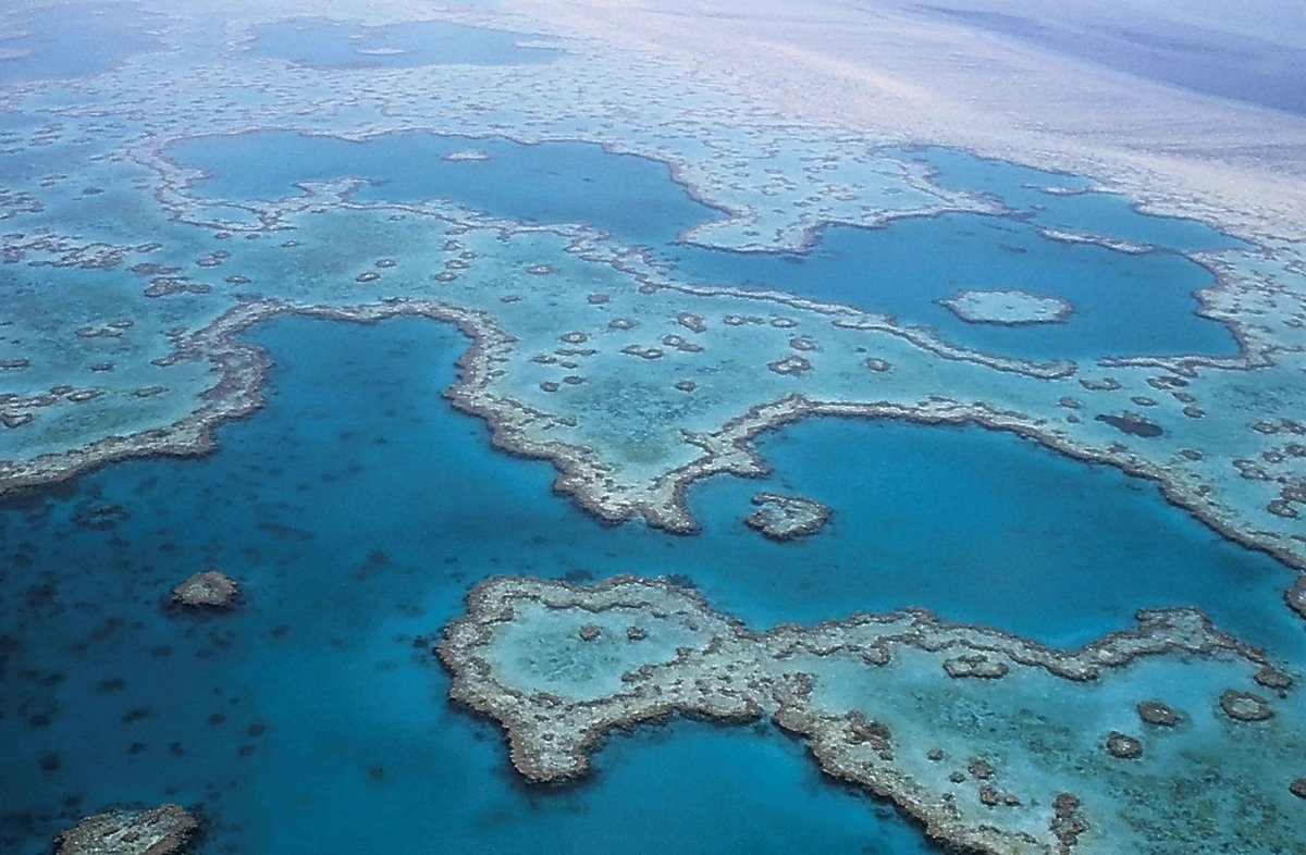 DID YOU KNOW: At over 2,000 kilometers long, The Great Barrier Reef is the largest living structure on Earth.