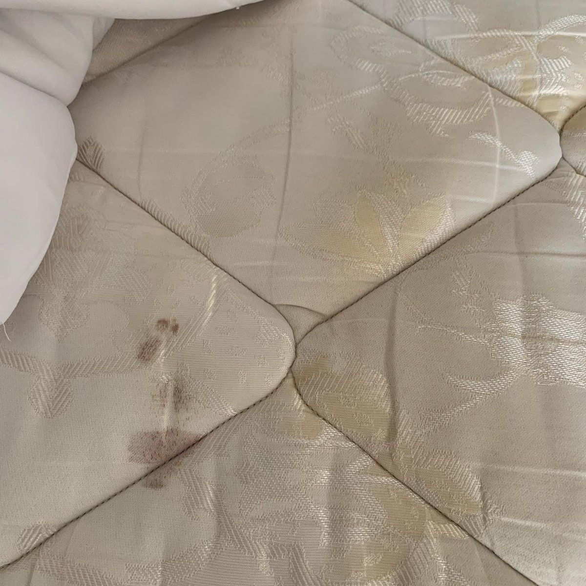 TheRealTrulyKim's tweet photo. @NBCBLK @cnnbrk @USATODAY booked a hotel with @WyndhamHotels  and arrived to this 🤢 never stayed and they are refusing to refund me. https://t.co/sOYpVkpQAD