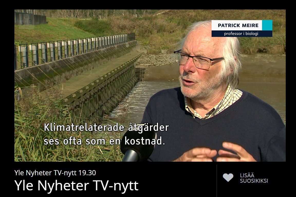 Prof. Patrick Meire about climate change, the floodings in the South of Belgium, and nature-based solutions on Finnish television. Watch from minute 8: areena.yle.fi/1-50629680#aut…