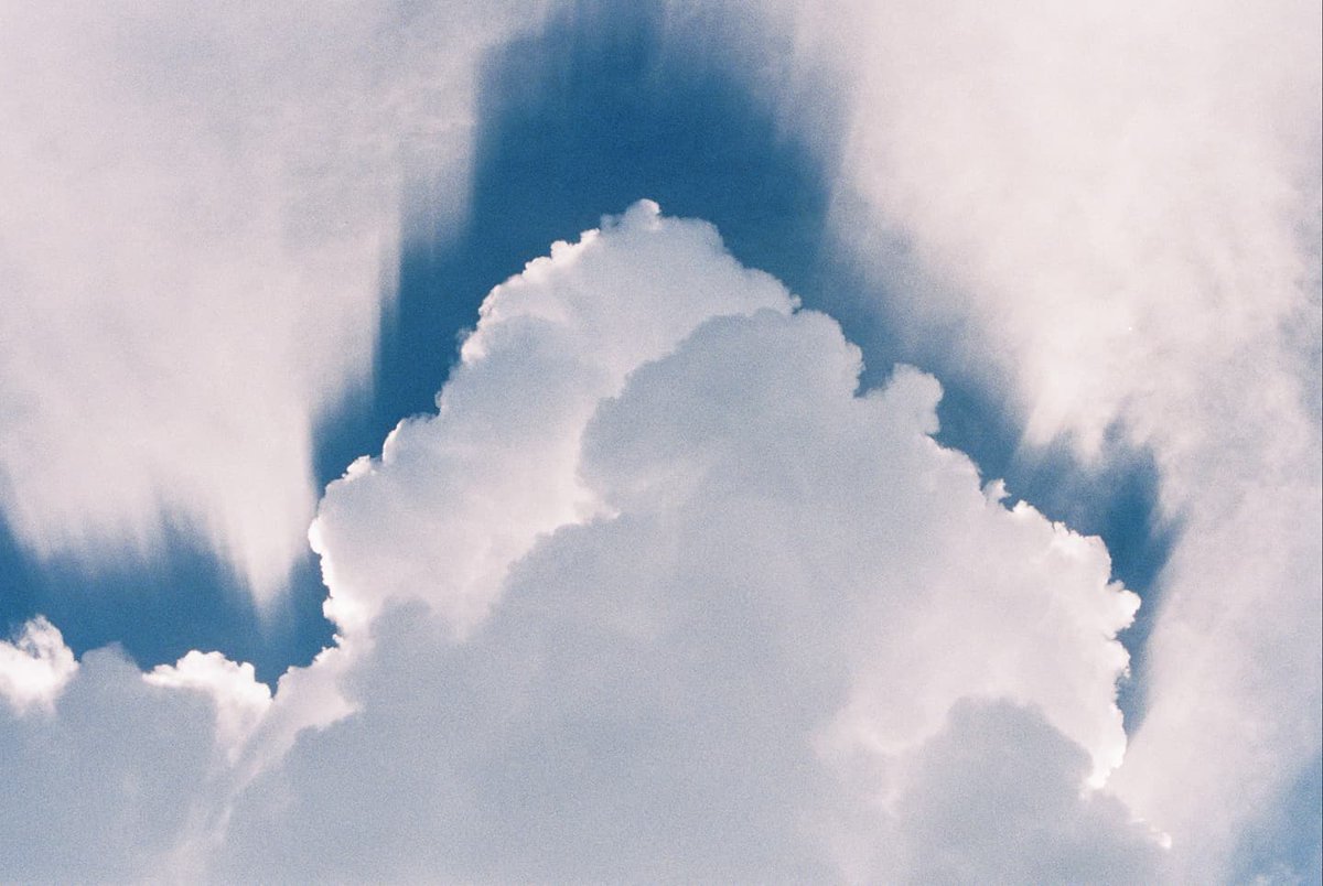 DanDickson24's tweet photo. Florida man summer.

#Kodak #portra800 #shootfilm https://t.co/rEOLm95C50