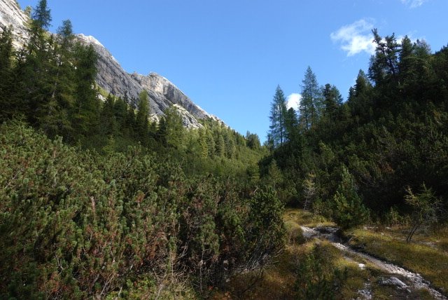 travelthommi's tweet photo. #Wandern in #Osttirol. Heute gab es einen Ausflug an den #Pragser_Wildsee. Die Tour zum #Herrstein begann natürlich nicht an den Touristenparkplätzen. So schaffte ich es wieder, trotz voller Parkplätze am See nur 8 Leute am ganzen Tag zu treffen. https://t.co/bHEzrhkEU4