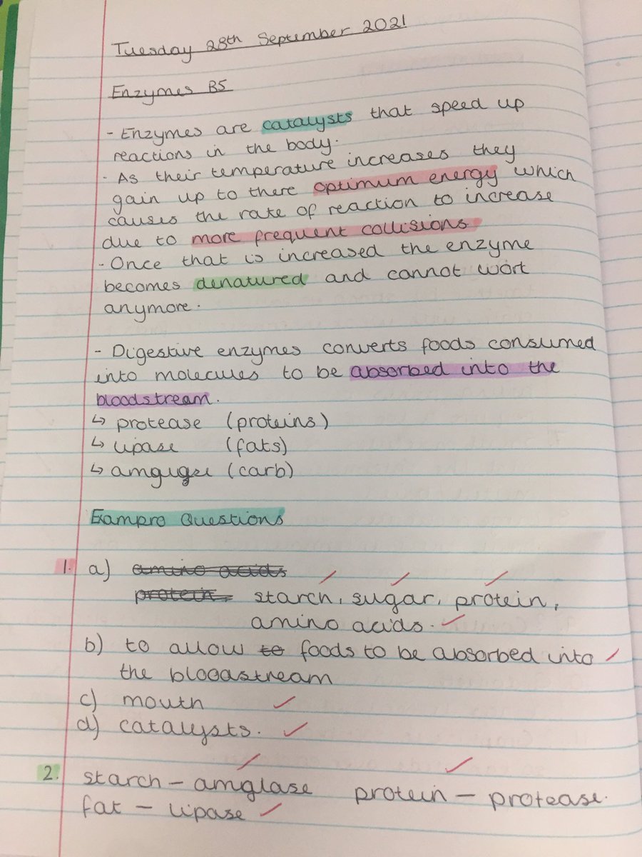 MAScience1's tweet photo. Year 11 Science (Mr Crouch’s class) smashing weekly revision - this week: Enzymes! Self-quizzing, exam question practice and mindmaps. So proud... @MerchantsAc @Samanth53721162 @victoriastarkie @VenturersTrust https://t.co/SNnZGsEg4A