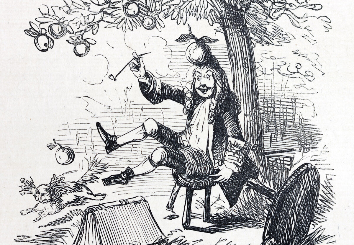 Исаак ньютон и яблоко. Исаак ньютон под деревом. Картина ньютон с яблоком. Исаак ньютон вектор. Исаак ньютон под яблоней.