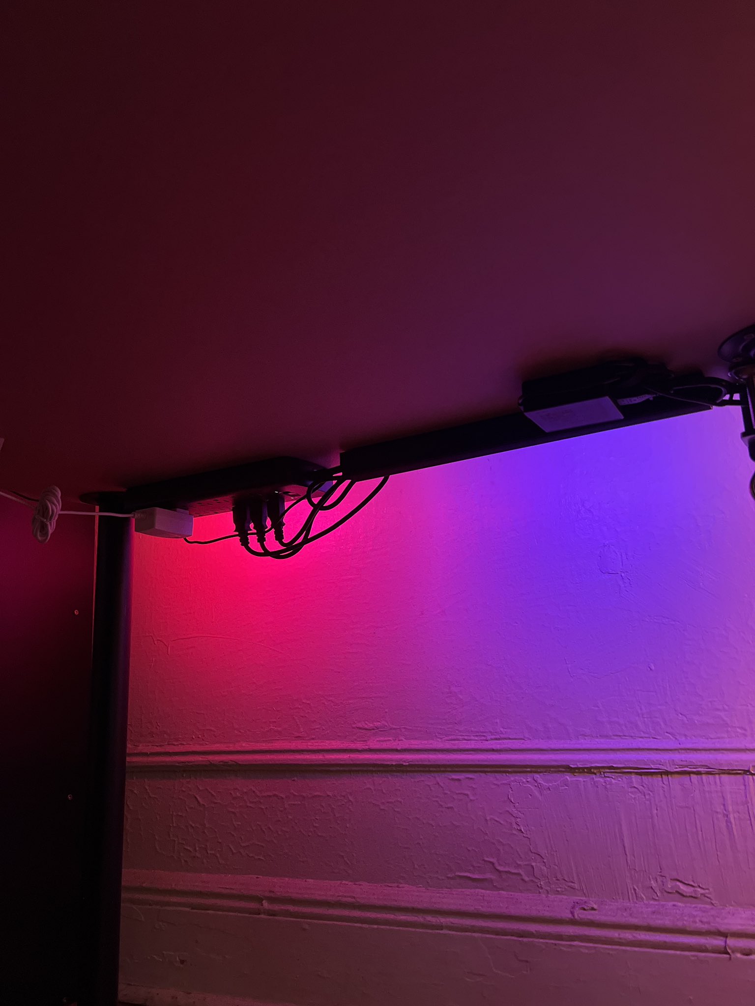 jerx on Twitter: "my updated 2021 discord & spotify setup . https://t