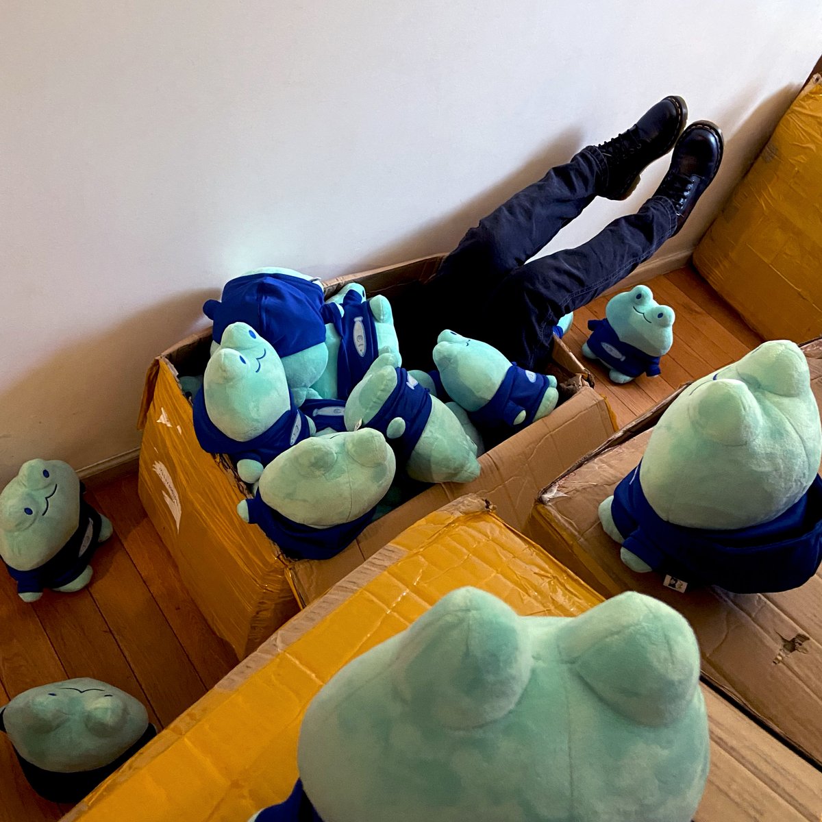 Drowning in✨frogs✨