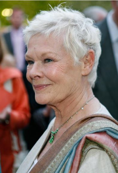 Champagne Launch of BritWeek, 2008
Photographer: Michael Bezjian
#JudiDench #BritWeek