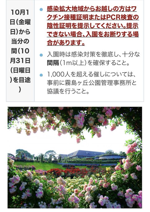 かのやばら園 開花情報 バラまつり アーカイブ バラ園案内 バラの見ごろと開花状況