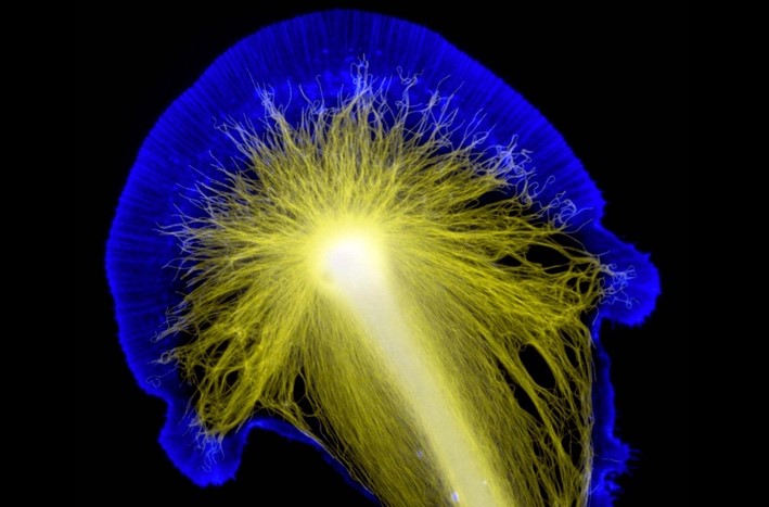 American Society for Cell Biology (@ascbiology) on Twitter photo Science Twitter is fun, useful, and really nice—no, really
by Dylan T. Burnette <a href="/MAG2ART/">Dylan Burnette</a>
ascb.org/careers/compas… Science Twitter is fun, useful, and really nice—no, really
by Dylan T. Burnette <a href="/MAG2ART/">Dylan Burnette</a>
ascb.org/careers/compas…