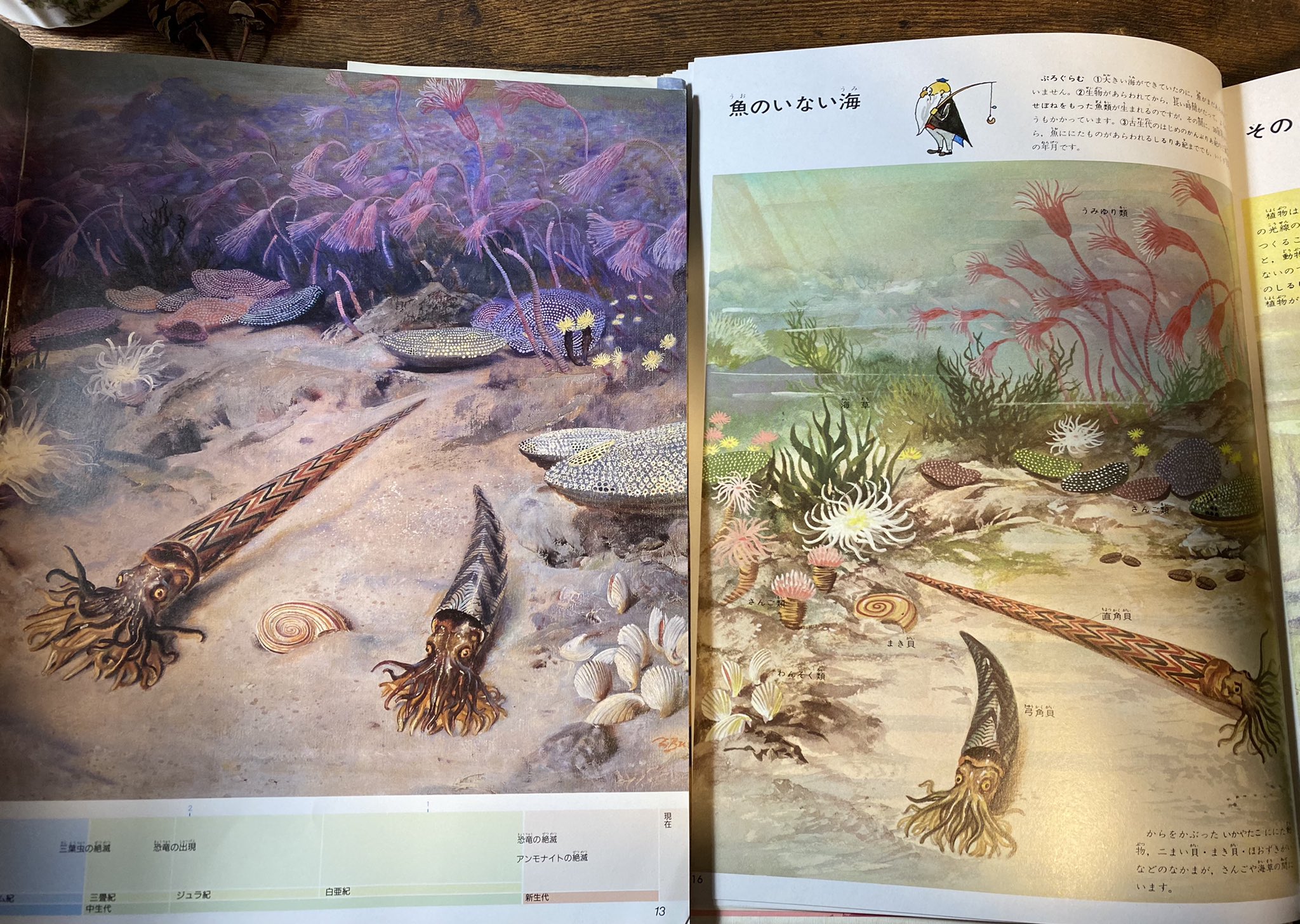 川崎 映 幼稚園の頃は清水勝さんの画を観てサンヨウチュウに憧れていたんだけど ワラジムシを捕まえてきて水の中によく沈めていた事を思いだした 我ながら結構酷い事をしたと思う Twitter