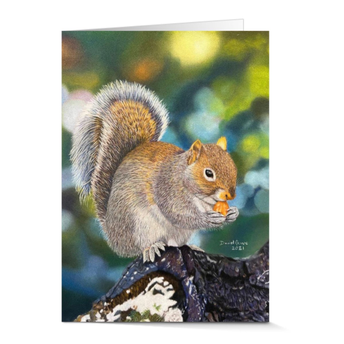 NevueArt's tweet photo. Squirrel Wildlife Greeting Cards 6 Pack With Envelops - Prints of the original pastel painting. https://t.co/PNVKcZK8aF #squirrelcards #greetingcards https://t.co/Kh9EY1agLe