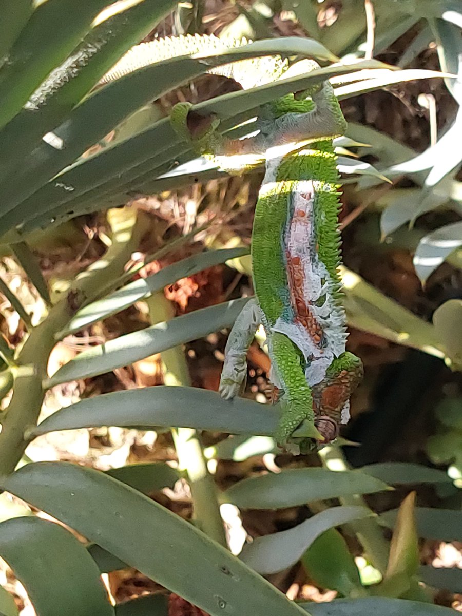 Sustainable farming. #deuxfrereswines #stellenboschwineroute