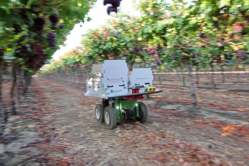 futurefarming_'s tweet photo. 𝐁𝐮𝐫𝐫𝐨 𝐫𝐚𝐢𝐬𝐞𝐬 $ 𝟏𝟎.𝟗 𝐦𝐢𝐥𝐥𝐢𝐨𝐧 𝐭𝐨 𝐜𝐨𝐦𝐦𝐞𝐫𝐜𝐢𝐚𝐥𝐢𝐬𝐞 𝐟𝐢𝐞𝐥𝐝 𝐫𝐨𝐛𝐨𝐭𝐬
The company will use to funding expand to 500+ robots next year to meet demand from both existing and new customers. ☛ https://t.co/0c1yyO4pyo
#fieldrobots #smartfarming https://t.co/ufnSEqGEUz