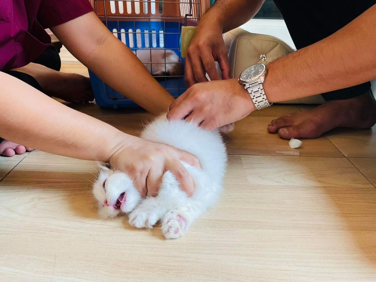 Babyboo (@Babyjamjam98) / Twitter