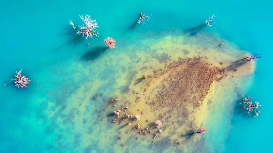 📣 Call to all NGOs &amp; stakeholders #ForNature 📣

As announced in the #EUGreenDeal, we are preparing a monitoring framework for the 8th Environment Action Programme

We need your views, join our workshop on 8 October

ec.europa.eu/environment/ne…

Registration until 4 October!