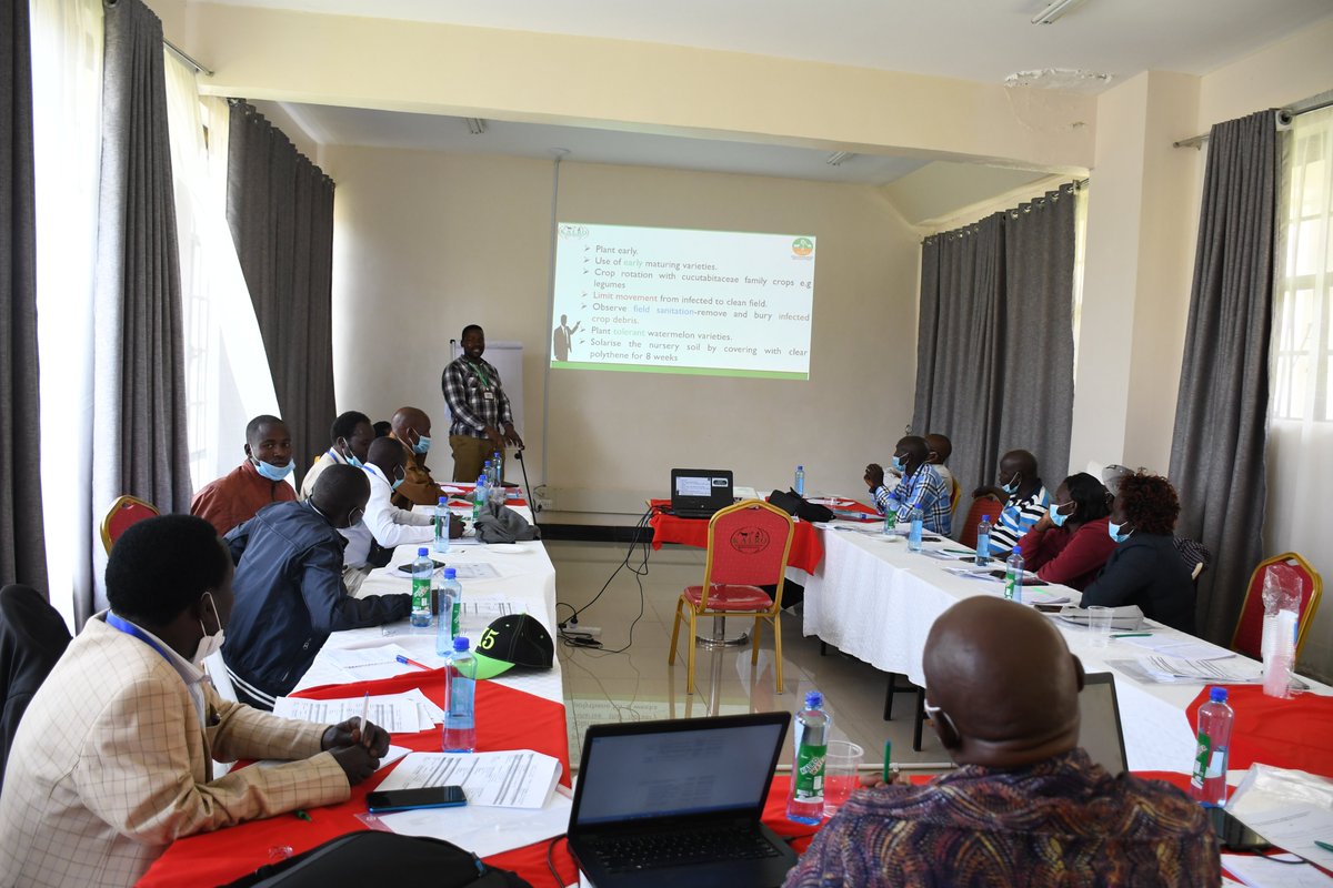 kalromkulima's tweet photo. This week our scientists are building the capacity of extension officers, service providers and lead farmers from West Pokot County on climate-smart Technologies, Innovations and Management Practices (TIMPs) on onion, cabbage and water melon value chains.@kcsap_project @KcsapWest https://t.co/htkMRcEl9M